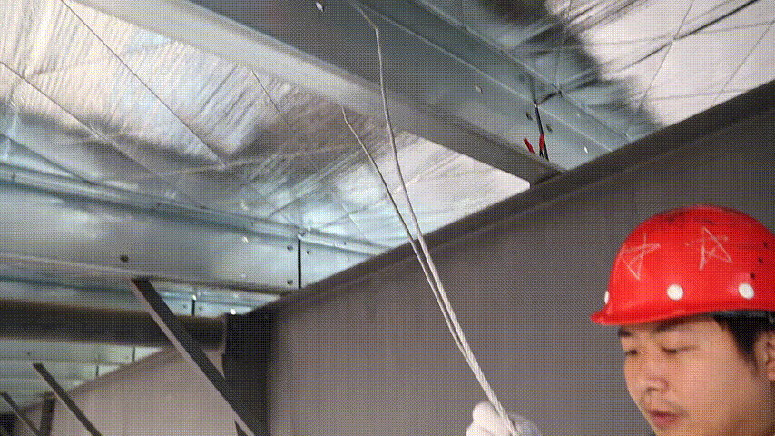 11.gif