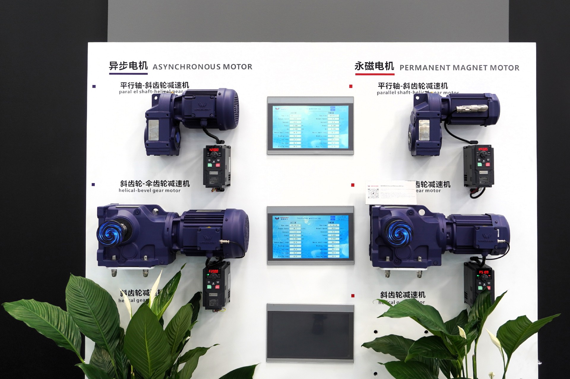 1714455225161365.jpg 4.jpg